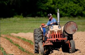 tractor, fermier, agricultura
