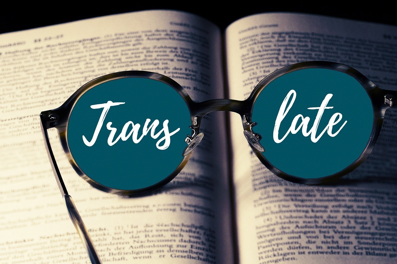 translator traducator limbi straine
