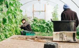 Ferma sera agricultura muncitori Pexels