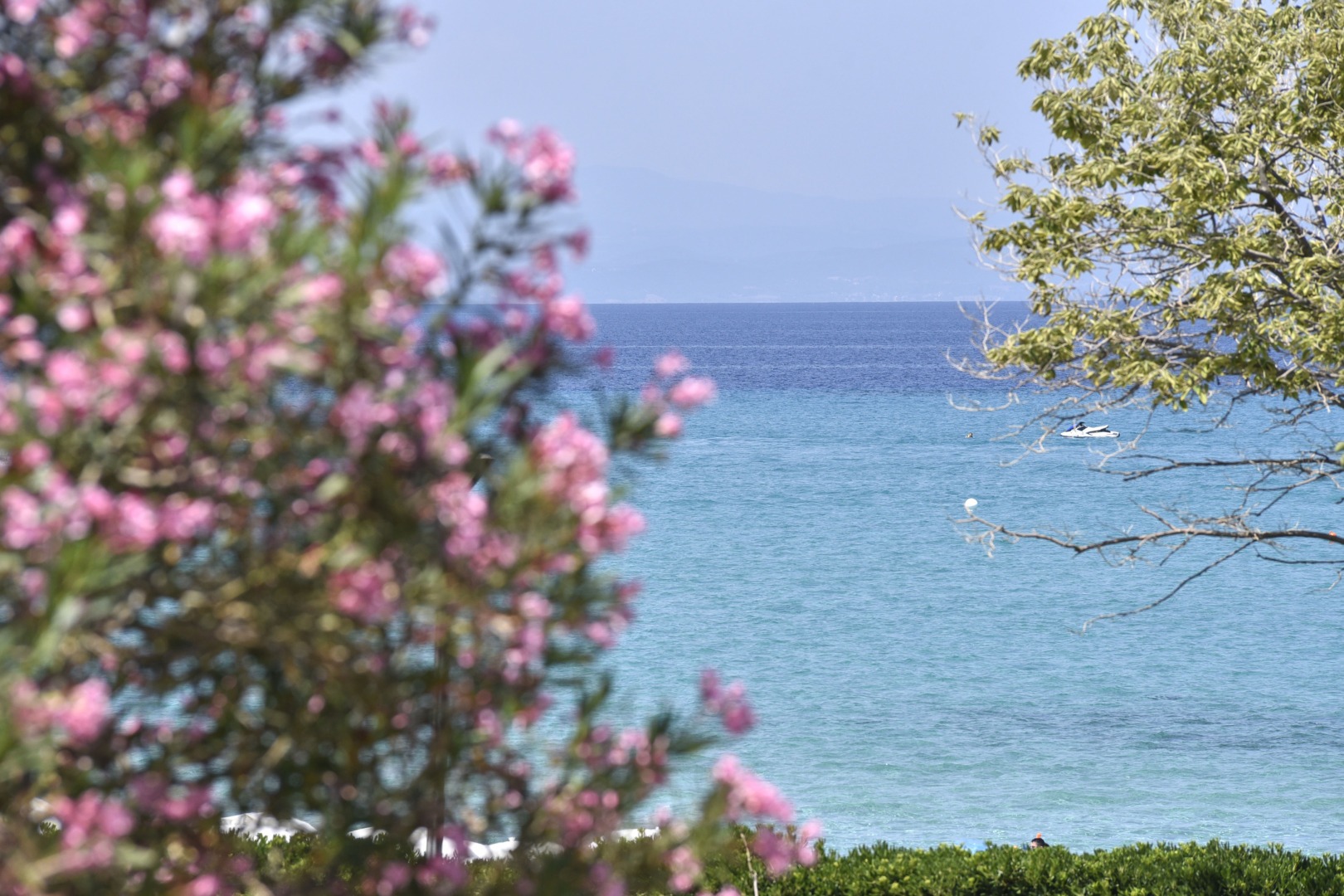 Peninsula Kassandra, regiunea Halkidiki, Grecia