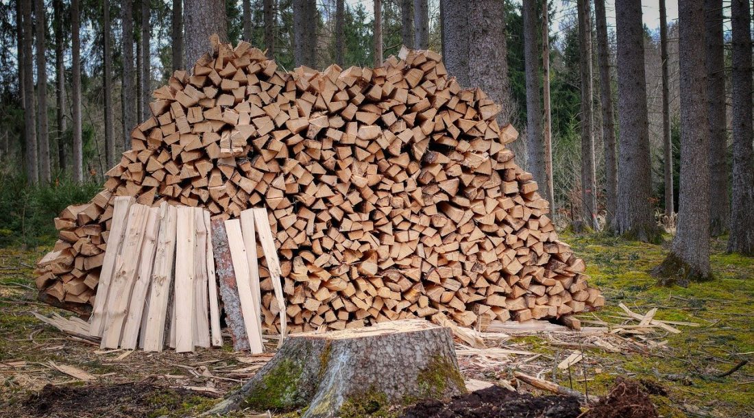 lemne, lemne foc