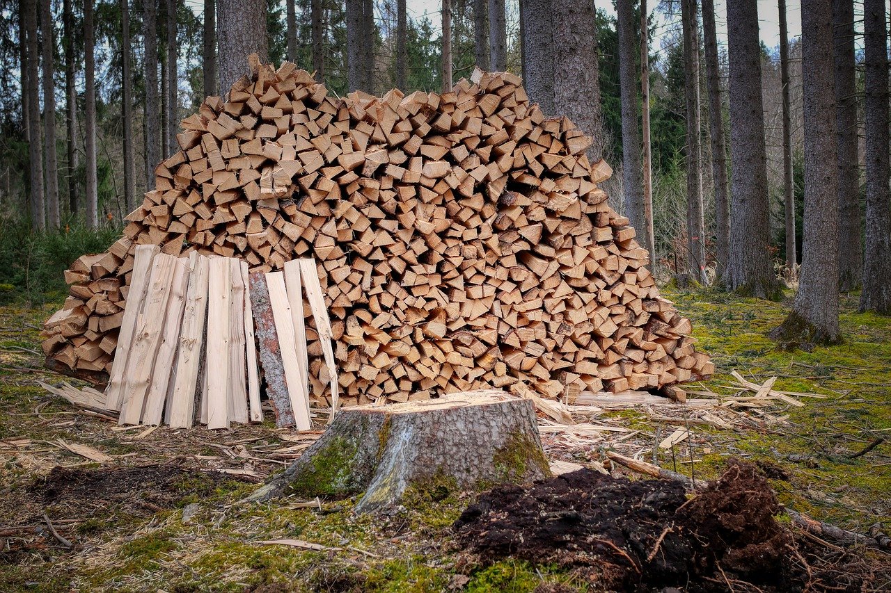 lemne, lemne foc