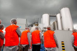 danone, fabrica, productie lactate