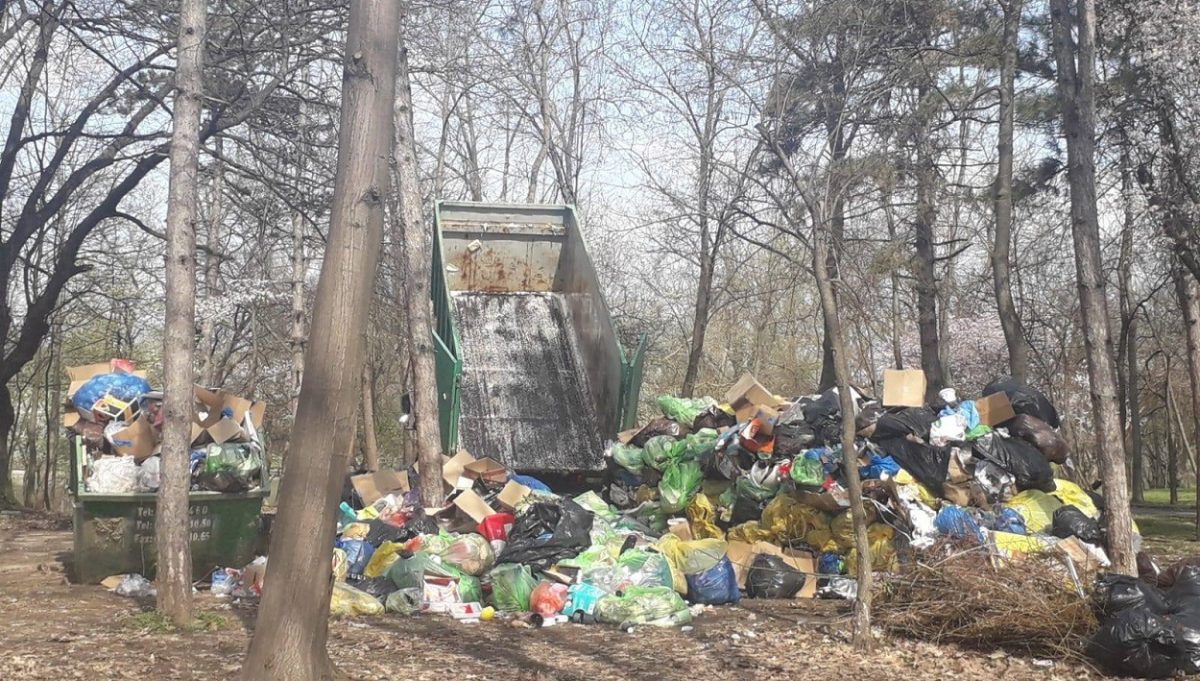 gunoaie Parcul Herastrau