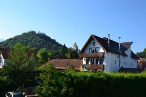 pensiune, romania, bran, turism, vacanta