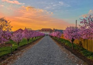 vacante, castel haller
