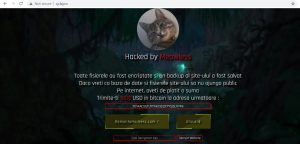 cjclujhack