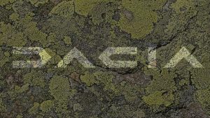 Dacia identitate