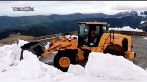 Transalpina