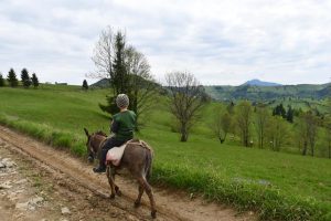 Via Transilvanica