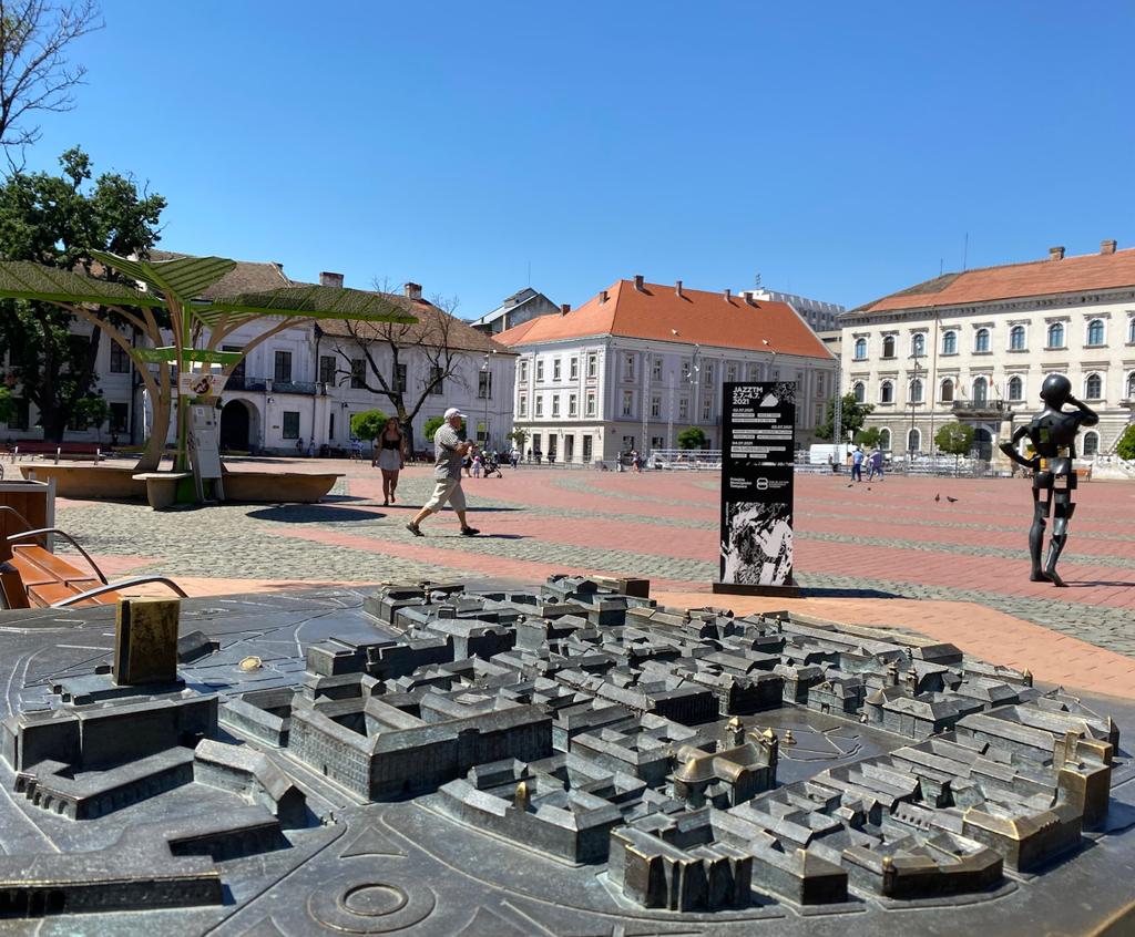 Timișoara Sursa foto Economedia (1)