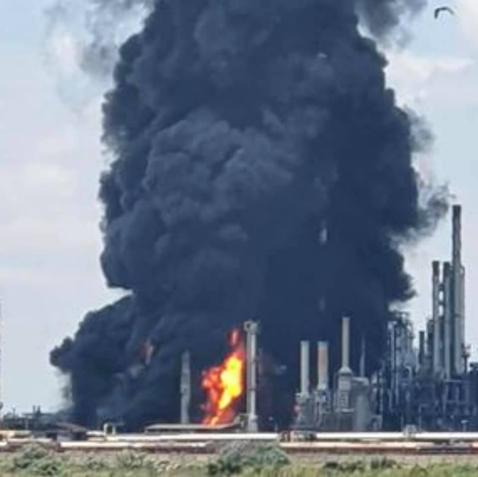 petromidia explize