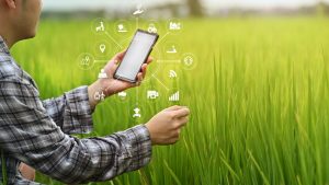 agricultura, fermier, tehnologie, telefon