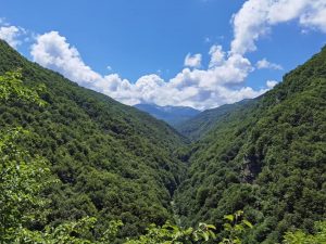 via transilvanica, padure, munte