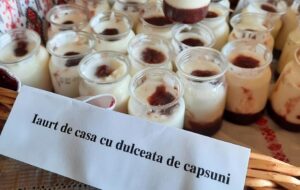 iaurt de casa cu dulceata de capsuni