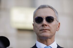 stelian ion ministerul justitiei