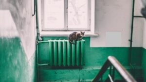 Calorifer pexels-maria-orlova-4946714