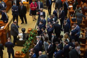 vot, Parlament, guvern Ciolos