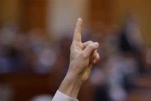 Parlament, Camera Deputaților, motiune de cenzură, vot, legi