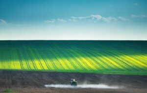 teren agricol