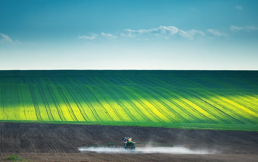 teren agricol