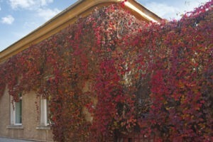 casa istorica