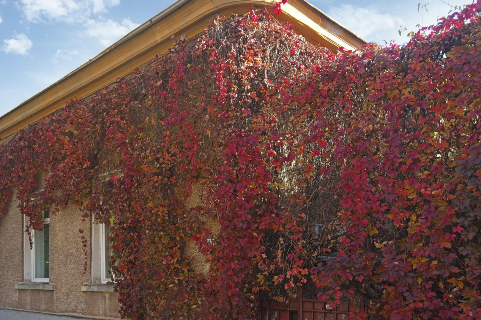 casa istorica