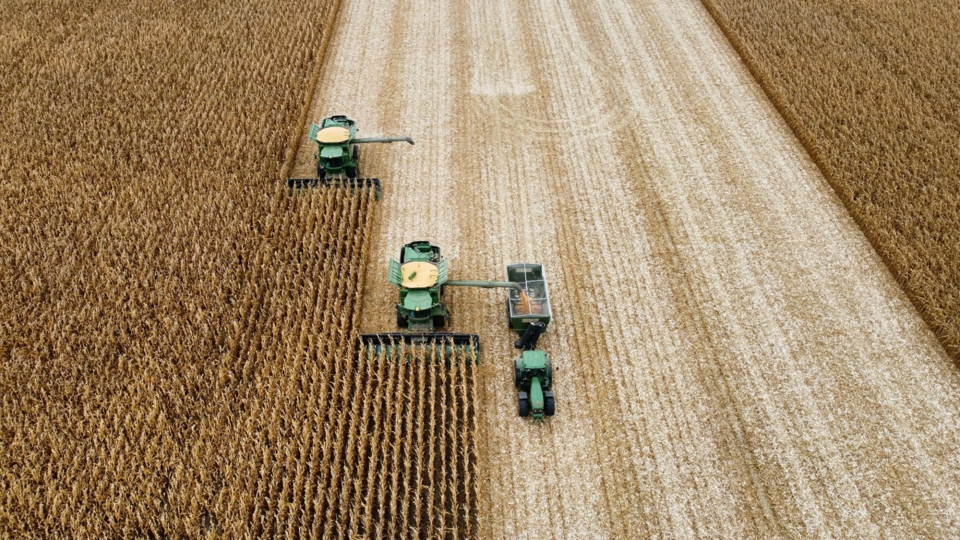 frizon group, agricultura