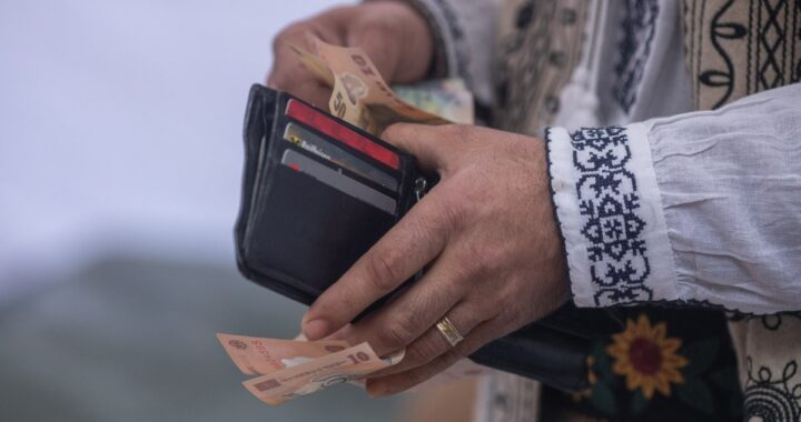 bani, lei, bancnote, piata, cumparaturi, fermier