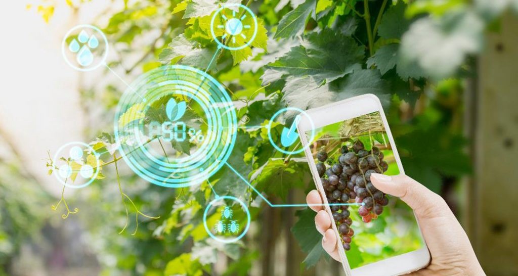 agri tech