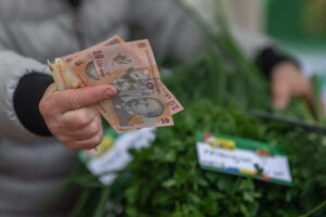 bani lei bancnote Sursa foto Economedia Ilona Andrei (2)