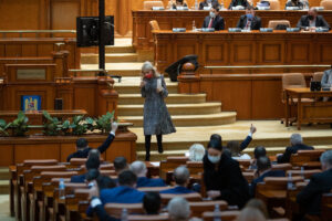 plen, Camera Deputatilor, Parlament, vot, Laura Vicol