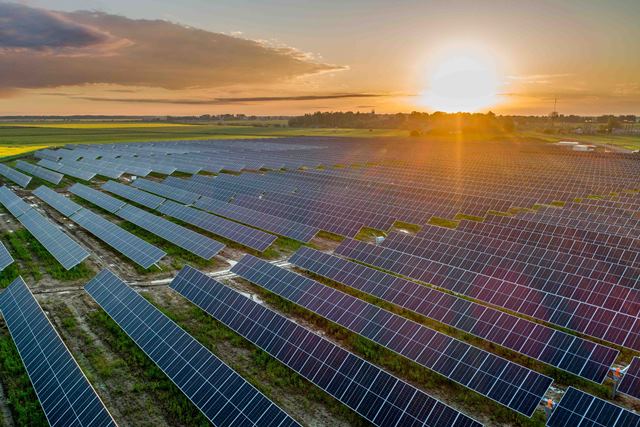 Image of solar plants (2)