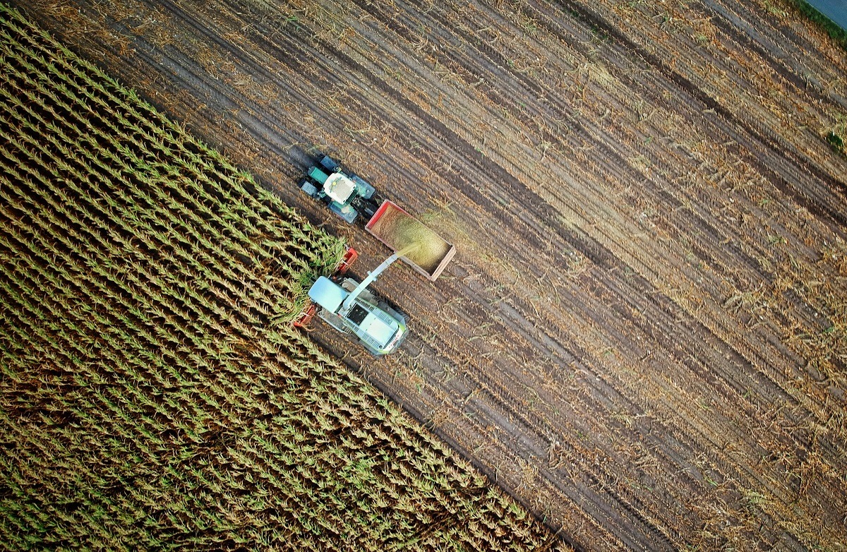 Agricultura
