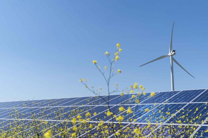 eoliene panouri solare EDP Renewables