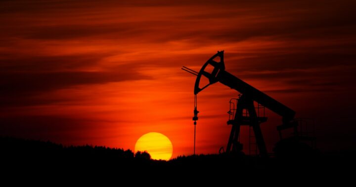 petrol, sonda