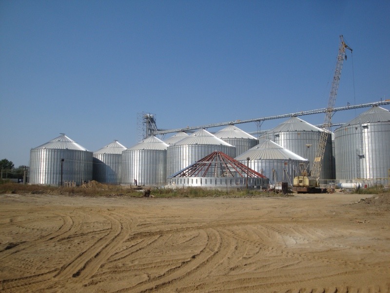 Agro Chirnogi
