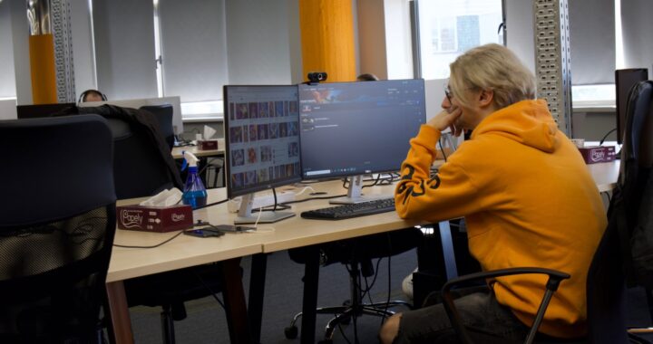 programator, dezvoltator jocuri, calculator, Amber Botosani