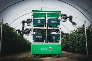 Robot autonom cules fructe