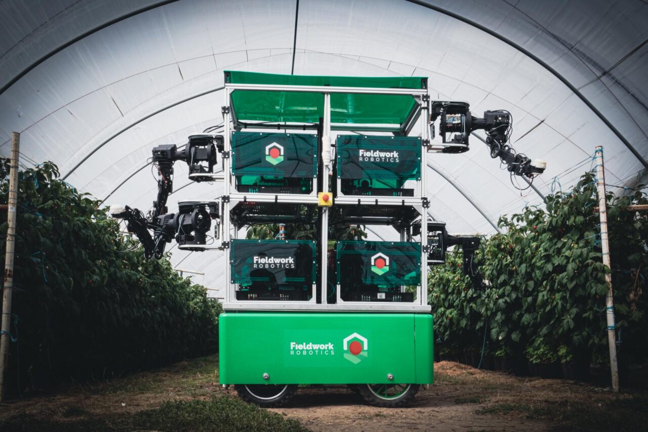 Robot autonom cules fructe