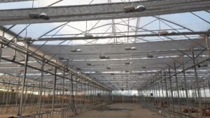 Solarino 4