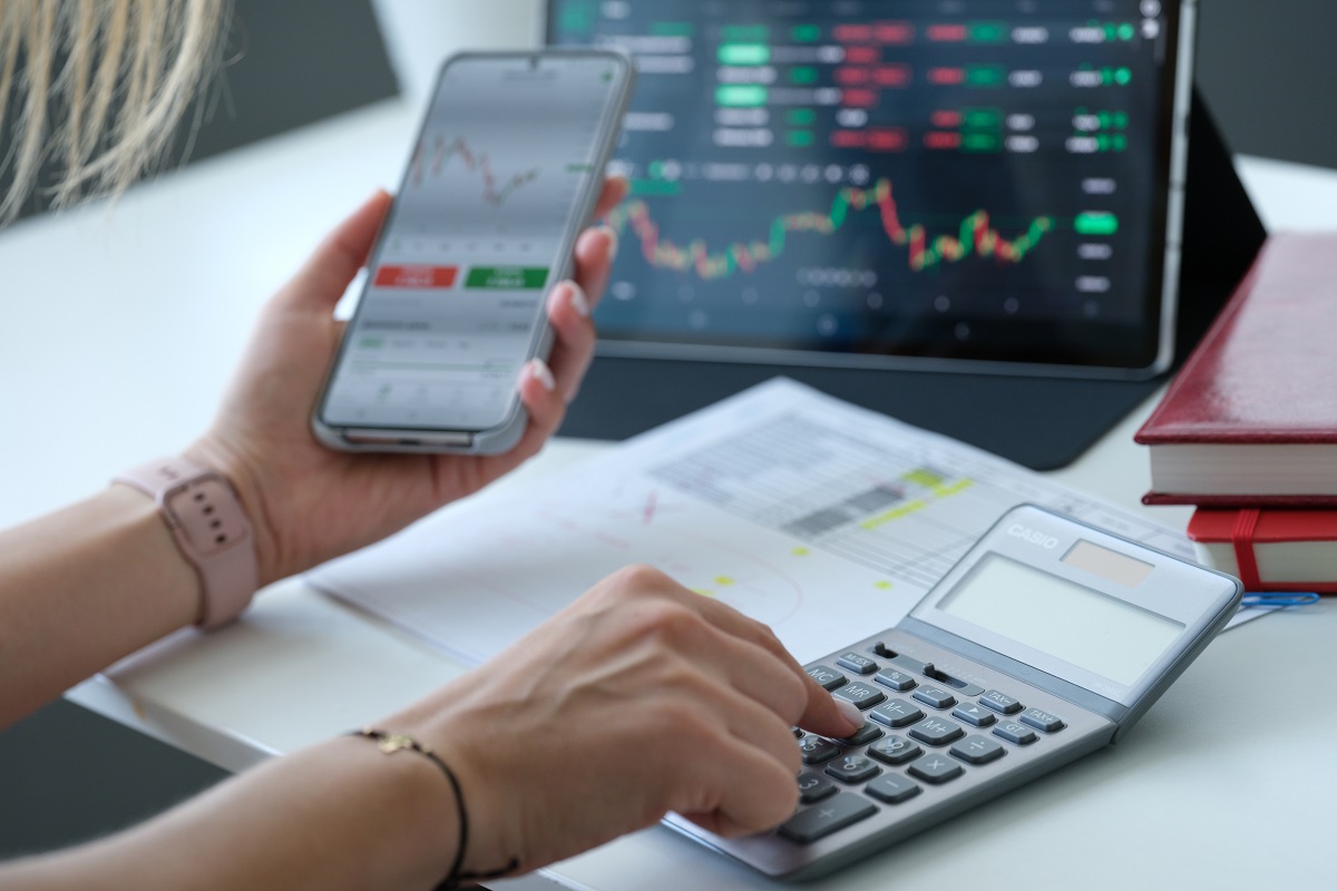 grafic investitii calculator