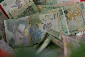 bani, lei, finante, bancnote