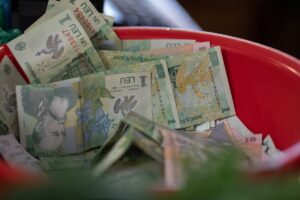 bani, lei, finante, bancnote