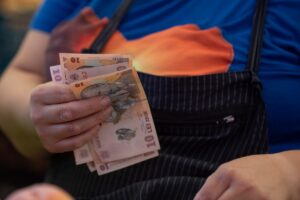 bani, lei, finante, bancnote
