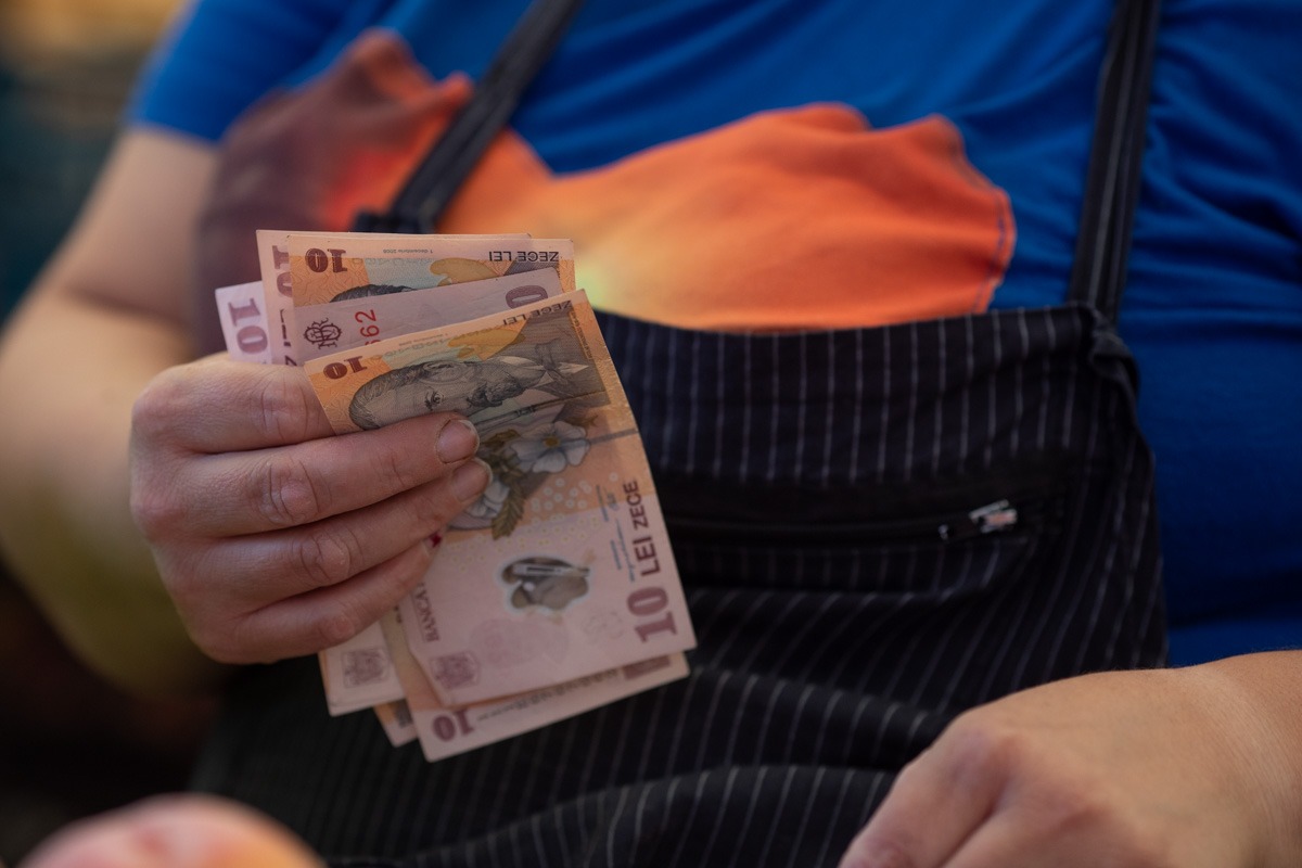 bani, lei, finante, bancnote