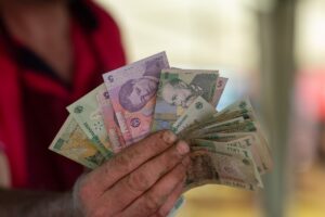 bani, lei, finante, bancnote