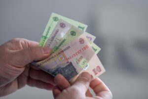bani, lei, finante, bancnote, bani numarati