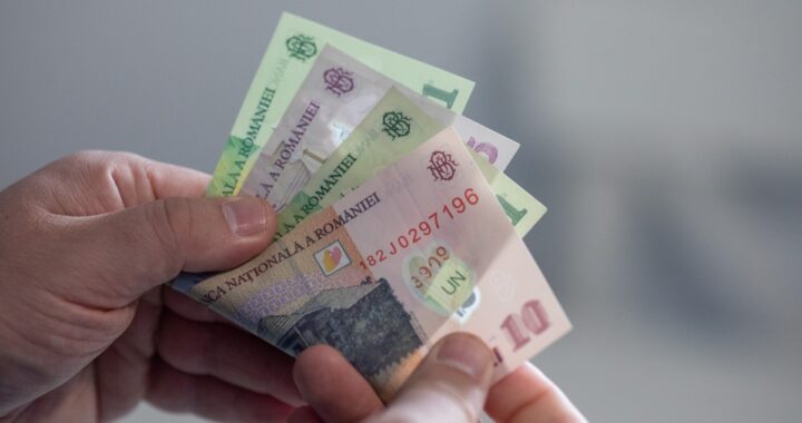 bani, lei, finante, bancnote, bani numarati