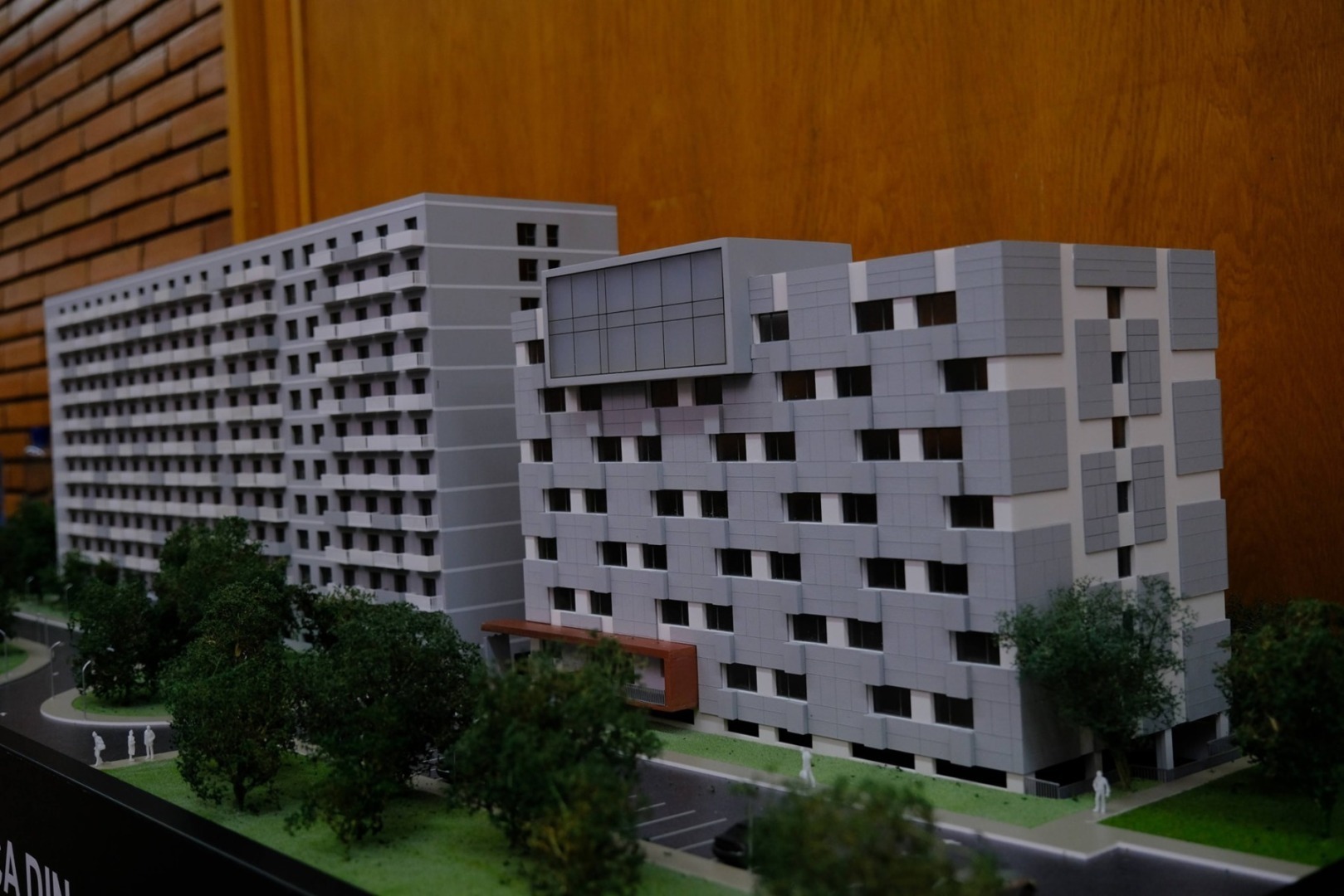 camin studenti regie